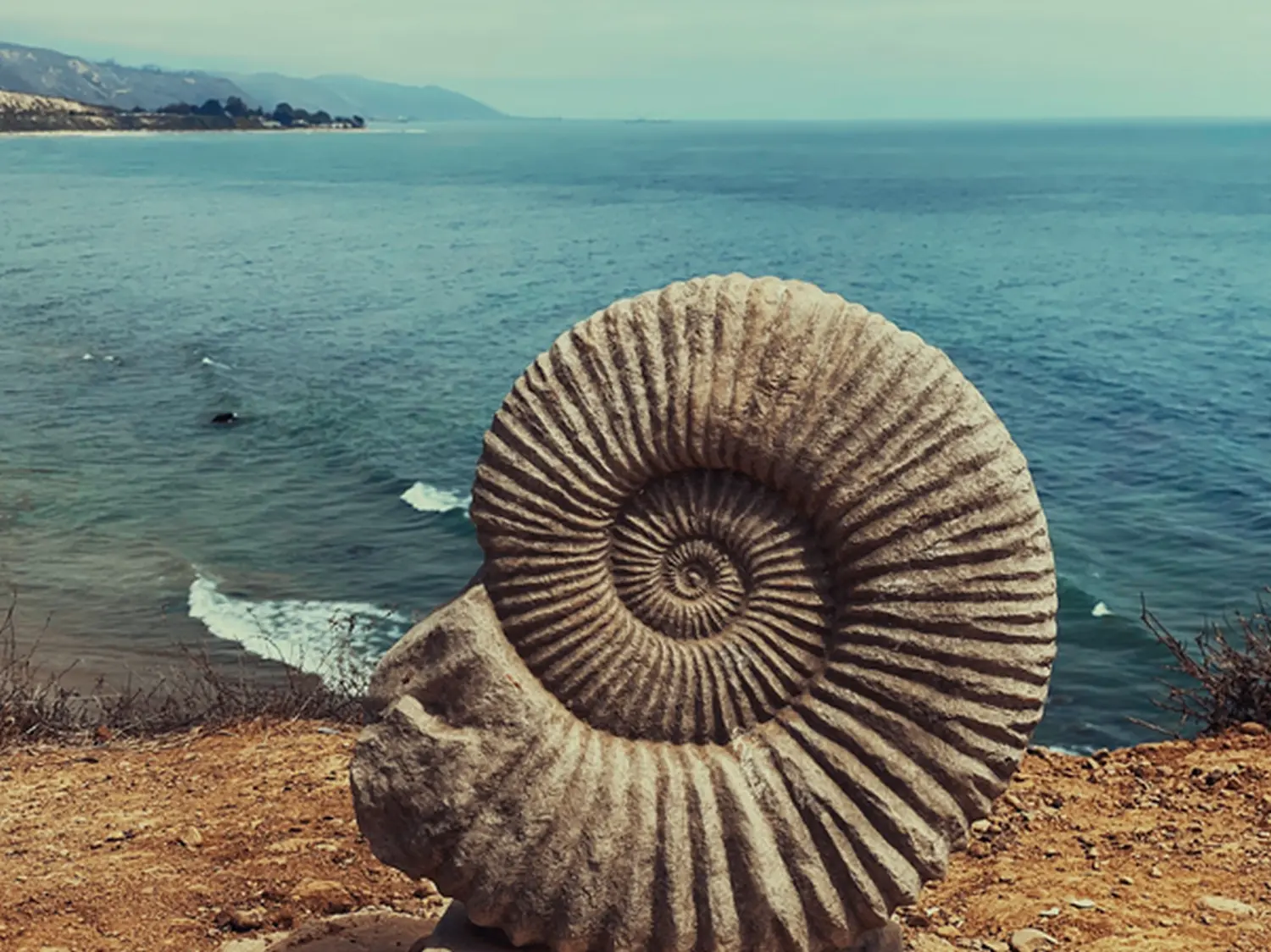 Ammoniten Tier von Sonja Regine Boeck
