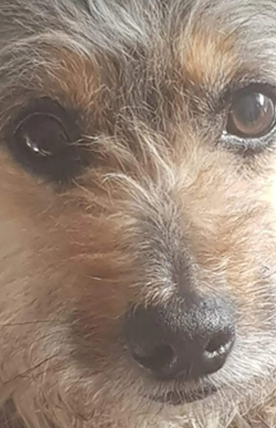 Das ist Jeany 1.Teil