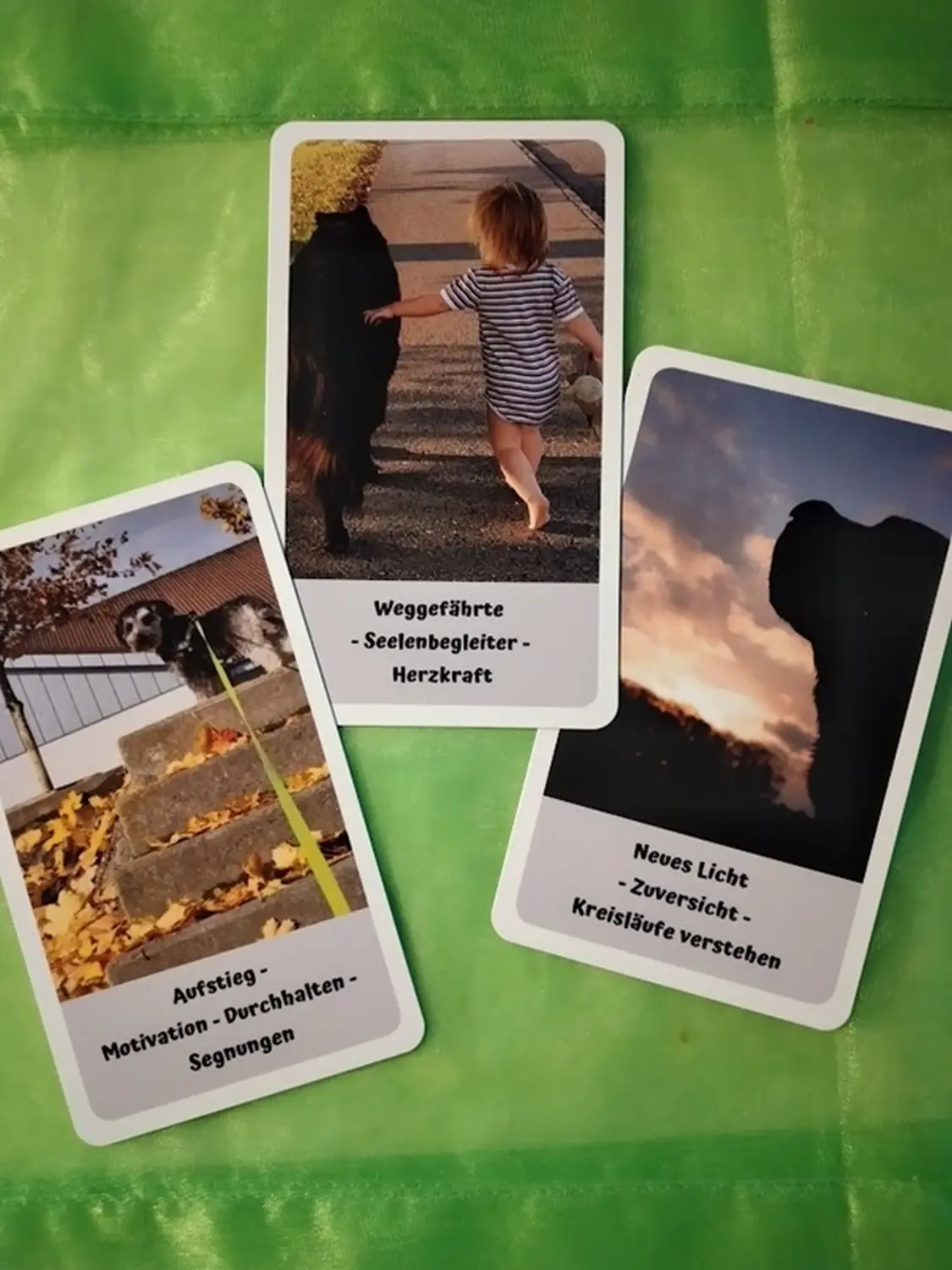 Kartendeck von Sonja Regine Boeck