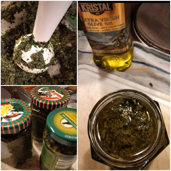 Löwenzahn - Giersch - Herstellungsprozess von Pesto-Medikamenten