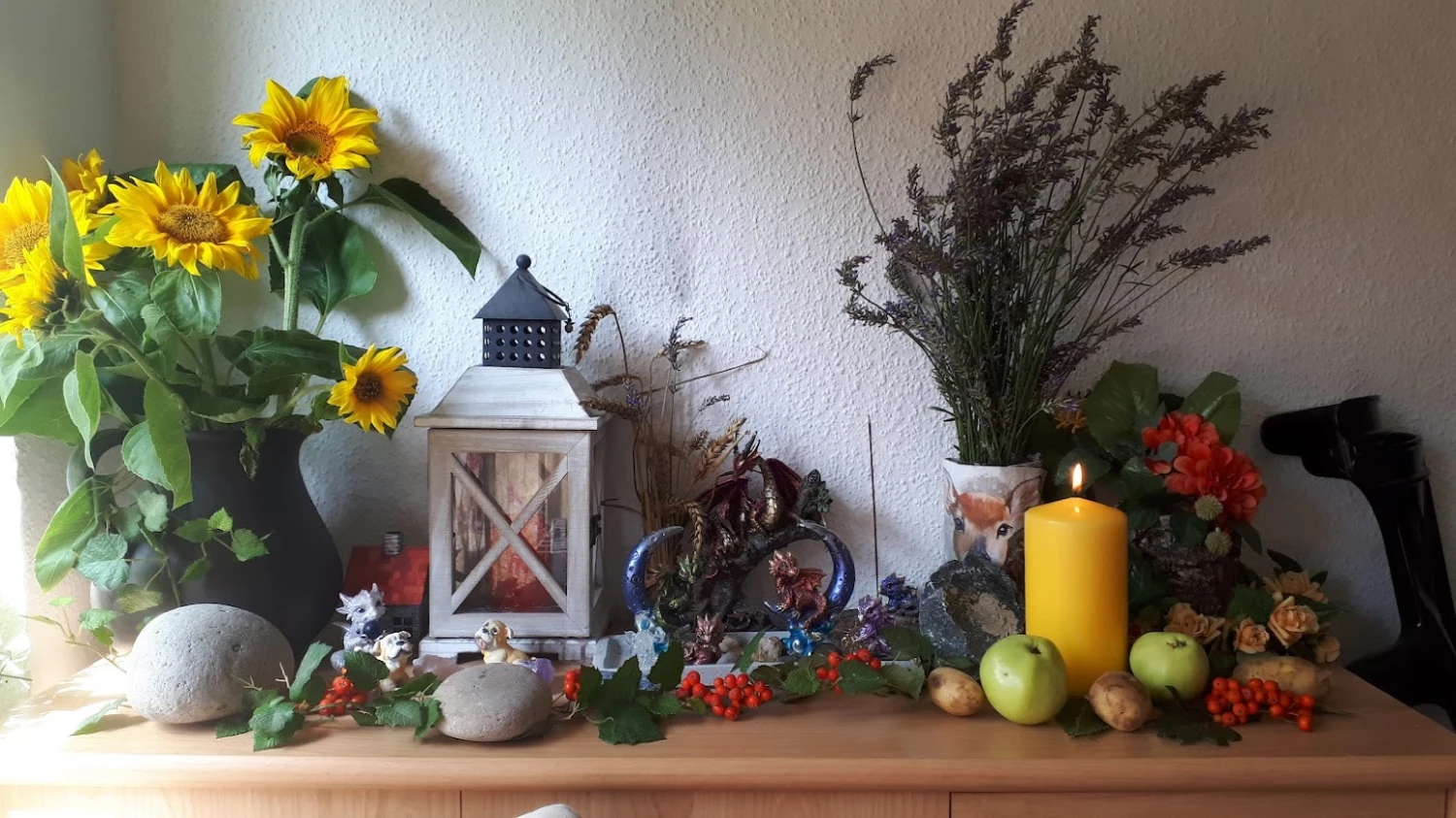 Bäume in einem Wald