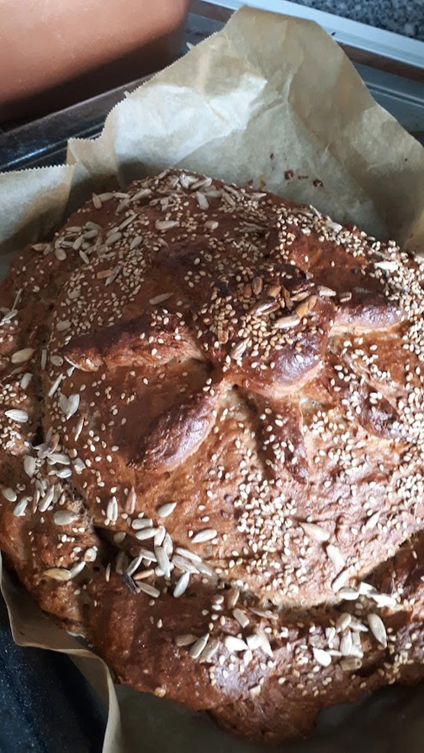 Bäume in einem Wald